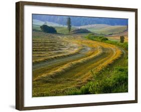 Trimmed Fields-Jim Craigmyle-Framed Photographic Print