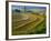 Trimmed Fields-Jim Craigmyle-Framed Photographic Print