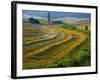 Trimmed Fields-Jim Craigmyle-Framed Photographic Print