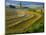 Trimmed Fields-Jim Craigmyle-Mounted Photographic Print
