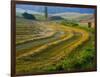 Trimmed Fields-Jim Craigmyle-Framed Photographic Print