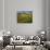 Trimmed Fields-Jim Craigmyle-Photographic Print displayed on a wall