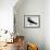 Tringa Vanellus (Lapwing)-Jacopo Ligozzi-Framed Giclee Print displayed on a wall