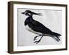 Tringa Vanellus (Lapwing)-Jacopo Ligozzi-Framed Giclee Print