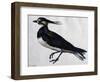 Tringa Vanellus (Lapwing)-Jacopo Ligozzi-Framed Giclee Print