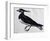 Tringa Vanellus (Lapwing)-Jacopo Ligozzi-Framed Giclee Print