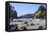 Trinidad, California. the Beach at Trinidad State Beach-Michael Qualls-Framed Stretched Canvas