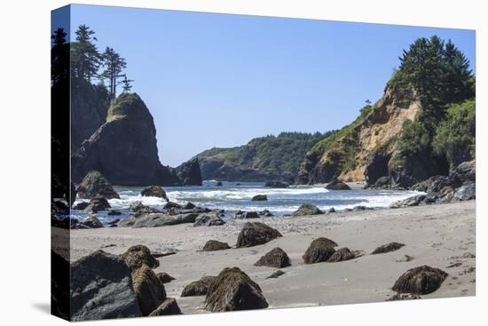 Trinidad, California. the Beach at Trinidad State Beach-Michael Qualls-Stretched Canvas