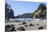 Trinidad, California. the Beach at Trinidad State Beach-Michael Qualls-Mounted Photographic Print