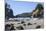 Trinidad, California. the Beach at Trinidad State Beach-Michael Qualls-Mounted Photographic Print