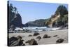 Trinidad, California. the Beach at Trinidad State Beach-Michael Qualls-Stretched Canvas