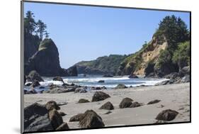 Trinidad, California. the Beach at Trinidad State Beach-Michael Qualls-Mounted Photographic Print