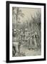 Trinidad Coolies at Work in a Cane-Field-Walter Stanley Paget-Framed Giclee Print