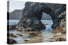Trinidad State Bach, California. Coastal Arch at College Cove-Michael Qualls-Stretched Canvas