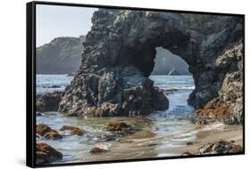 Trinidad State Bach, California. Coastal Arch at College Cove-Michael Qualls-Framed Stretched Canvas