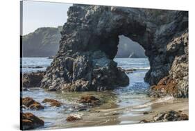 Trinidad State Bach, California. Coastal Arch at College Cove-Michael Qualls-Stretched Canvas