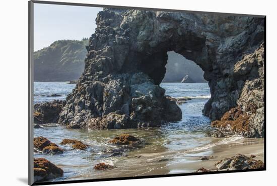 Trinidad State Bach, California. Coastal Arch at College Cove-Michael Qualls-Mounted Photographic Print