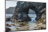 Trinidad State Bach, California. Coastal Arch at College Cove-Michael Qualls-Mounted Photographic Print