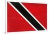 Trinitad And Tobago Flag Design with Wood Patterning - Flags of the World Series-Philippe Hugonnard-Framed Art Print