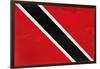 Trinitad And Tobago Flag Design with Wood Patterning - Flags of the World Series-Philippe Hugonnard-Framed Art Print