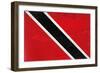 Trinitad And Tobago Flag Design with Wood Patterning - Flags of the World Series-Philippe Hugonnard-Framed Premium Giclee Print