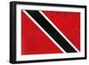 Trinitad And Tobago Flag Design with Wood Patterning - Flags of the World Series-Philippe Hugonnard-Framed Premium Giclee Print