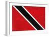 Trinitad And Tobago Flag Design with Wood Patterning - Flags of the World Series-Philippe Hugonnard-Framed Premium Giclee Print