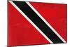 Trinitad And Tobago Flag Design with Wood Patterning - Flags of the World Series-Philippe Hugonnard-Mounted Premium Giclee Print