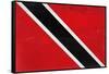 Trinitad And Tobago Flag Design with Wood Patterning - Flags of the World Series-Philippe Hugonnard-Framed Stretched Canvas