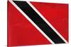 Trinitad And Tobago Flag Design with Wood Patterning - Flags of the World Series-Philippe Hugonnard-Stretched Canvas