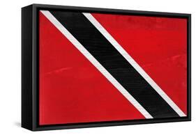 Trinitad And Tobago Flag Design with Wood Patterning - Flags of the World Series-Philippe Hugonnard-Framed Stretched Canvas