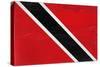 Trinitad And Tobago Flag Design with Wood Patterning - Flags of the World Series-Philippe Hugonnard-Stretched Canvas