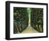 Trinity Avenue-null-Framed Art Print