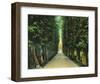 Trinity Avenue-null-Framed Art Print