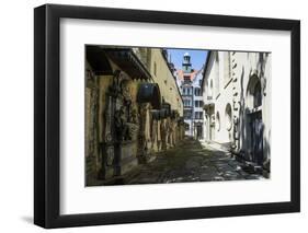 Trinity Church's Cemetery Grave Markers, Church of the Holy Trinity, Regensburg, Bavaria, Germany-Michael Runkel-Framed Photographic Print