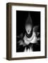 Trinity Collection 108-Philippe Sainte-Laudy-Framed Photographic Print