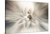 Trinity Collection 10-Philippe Saint-Laudy-Stretched Canvas