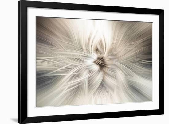 Trinity Collection 10-Philippe Saint-Laudy-Framed Photographic Print