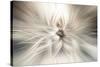 Trinity Collection 10-Philippe Saint-Laudy-Stretched Canvas