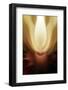 Trinity Collection 110-Philippe Sainte-Laudy-Framed Photographic Print