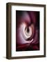 Trinity Collection 112-Philippe Sainte-Laudy-Framed Photographic Print