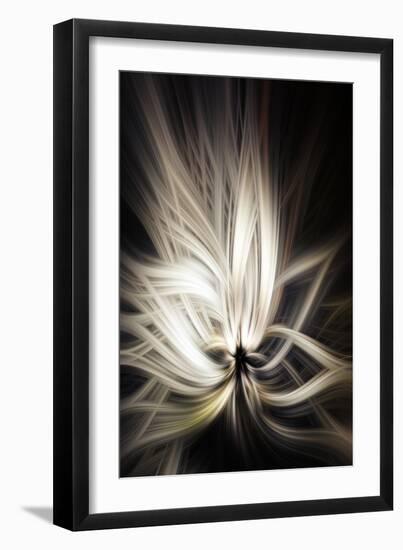 Trinity Collection 133-Philippe Sainte-Laudy-Framed Photographic Print