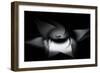 Trinity Collection 138-Philippe Sainte-Laudy-Framed Photographic Print