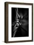 Trinity Collection 36-Philippe Saint-Laudy-Framed Photographic Print