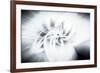 Trinity Collection 42-Philippe Saint-Laudy-Framed Photographic Print