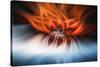 Trinity Collection 47-Philippe Saint-Laudy-Stretched Canvas