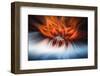 Trinity Collection 47-Philippe Saint-Laudy-Framed Photographic Print