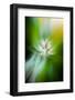 Trinity Collection 60-Philippe Saint-Laudy-Framed Photographic Print