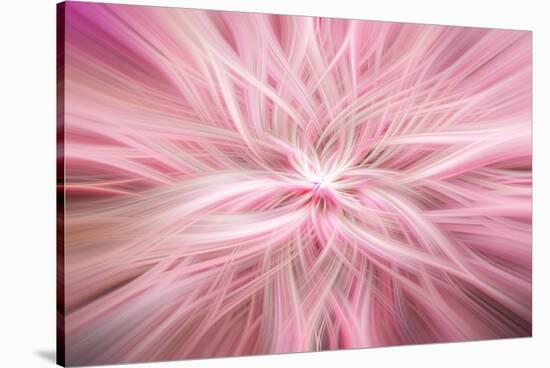 Trinity Collection 76-Philippe Saint-Laudy-Stretched Canvas