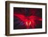 Trinity Collection 82-Philippe Saint-Laudy-Framed Photographic Print